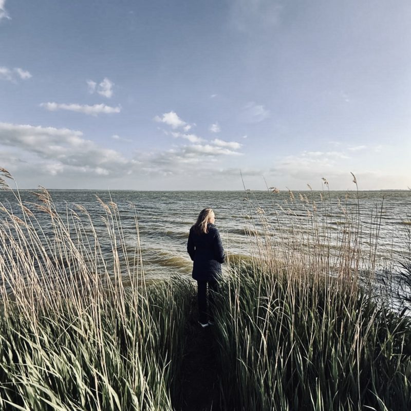 anja_schilf_ergebnis